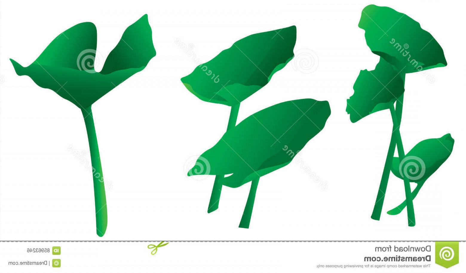 Lily Pad Vector Soidergi 1560x916 Lily Pad Vector Soidergi
