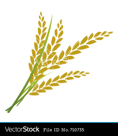 380x440 Padi Vector Free Download Clip Art Free Clip Art