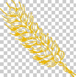 310x314 Padi Vector Png Images, Padi Vector Clipart Free Download