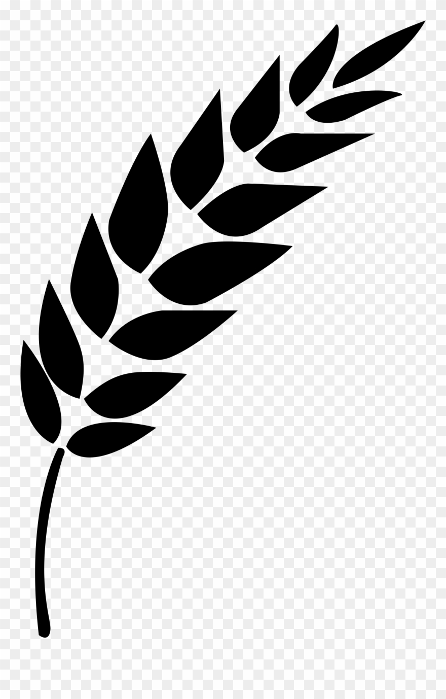 880x1378 Wheat Vector