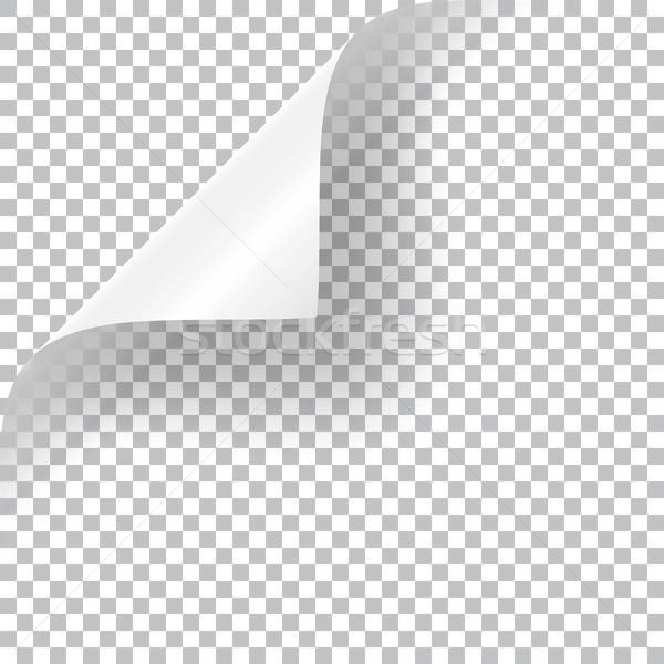 Curly 600x600 Curly