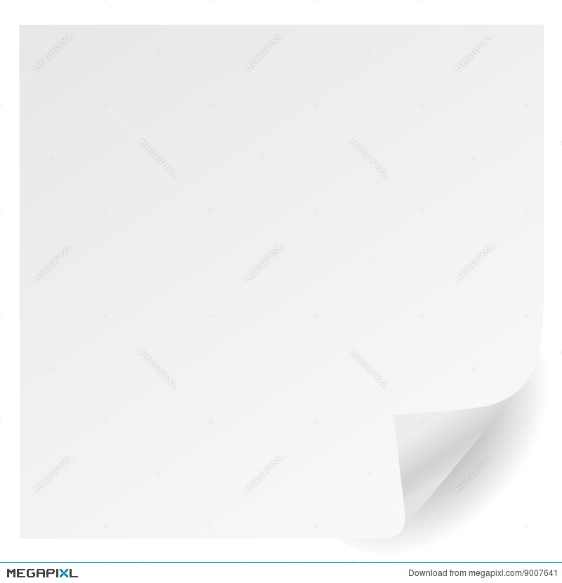 White 800x830 White