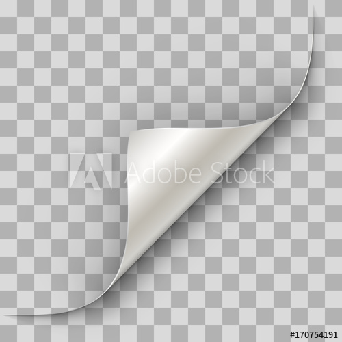 White Paper 500x500 White Paper