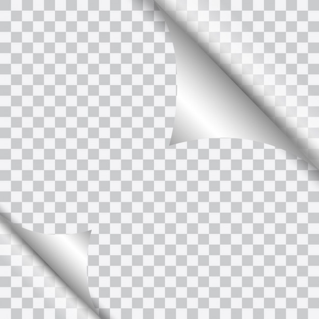 Page Curl Template Vector Free Download 626x626 Page Curl Template Vector Free Download