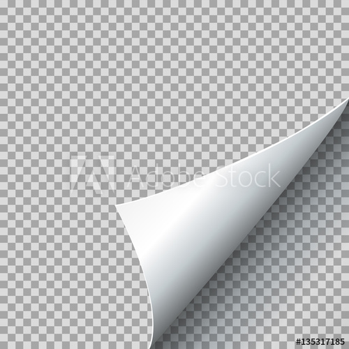 Paper Curl Vector Illustration Curled 500x500 Paper Curl Vector Illustration Curled