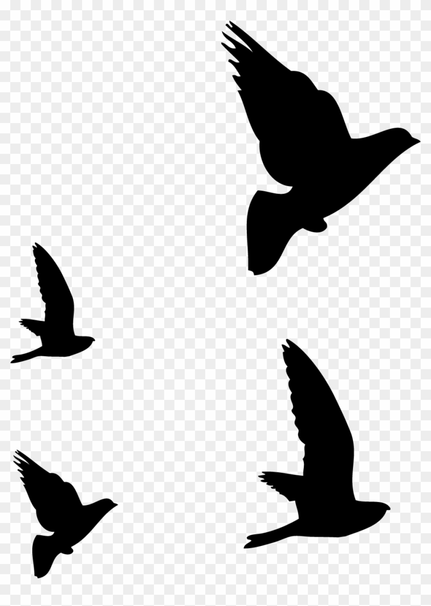 840x1182 Seagull Vector Tribal