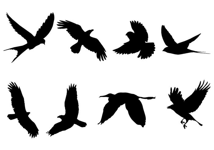 700x490 Vector Silueta De Aves Volando