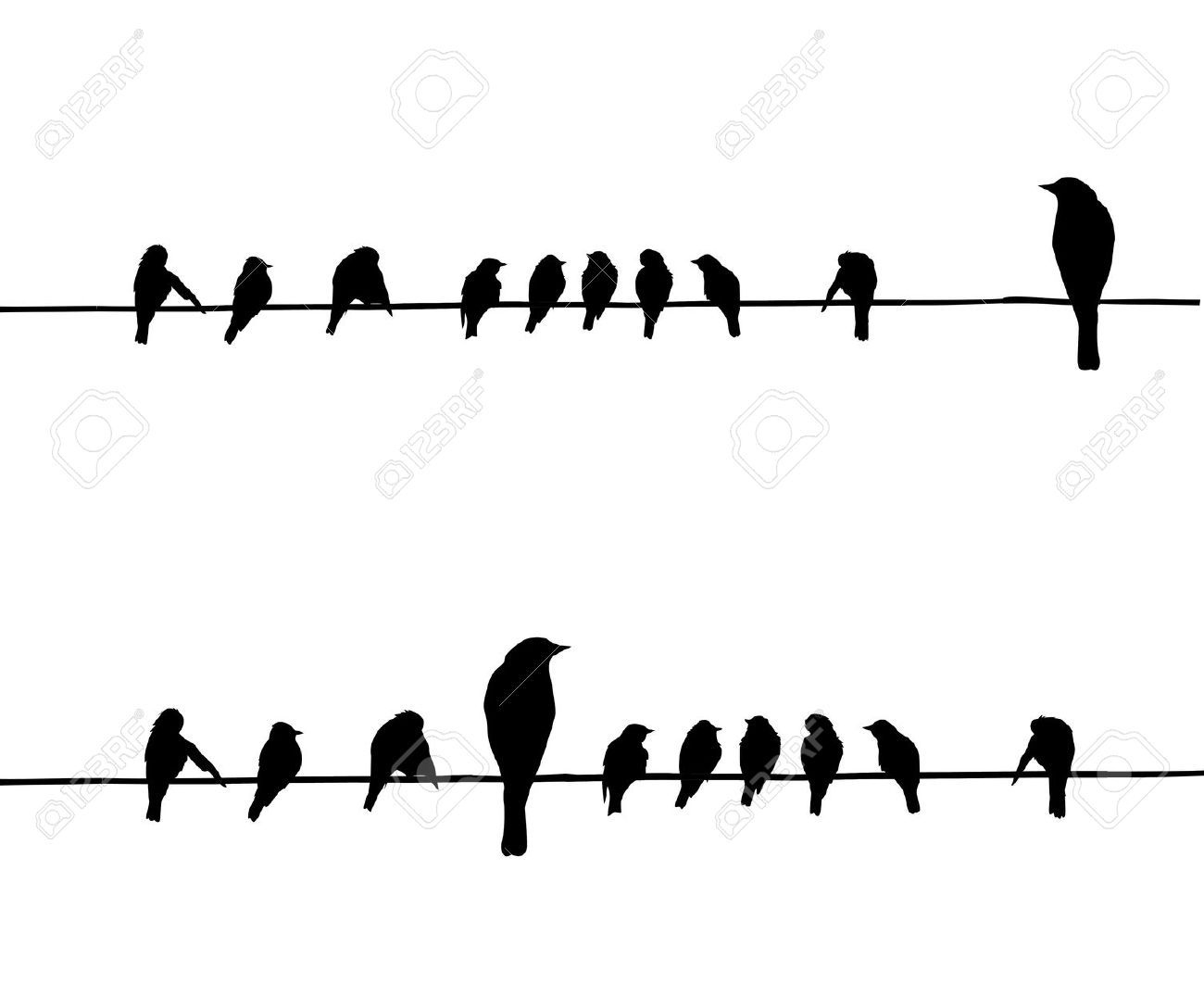 1300x1075 Silueta Aves Siluetas De Vector De Las Aves En Alambre Vectores