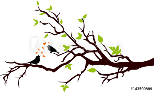 500x300 Pajaros Enamorados