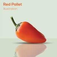 200x200 Pallet Free Vector Art