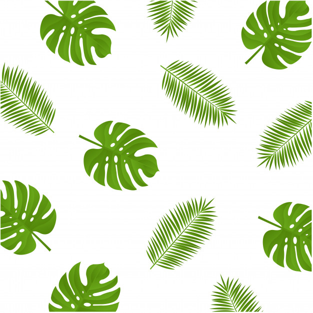 626x626 Monstera And Palm Branch Background Vector Premium Download