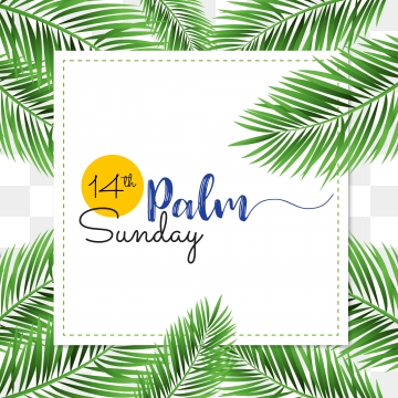 360x360 Palm Branch Png, Vector, And Clipart With Transparent