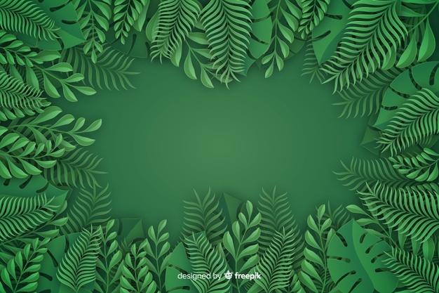 626x417 Palm Tree Vectors, Photos And Free Download