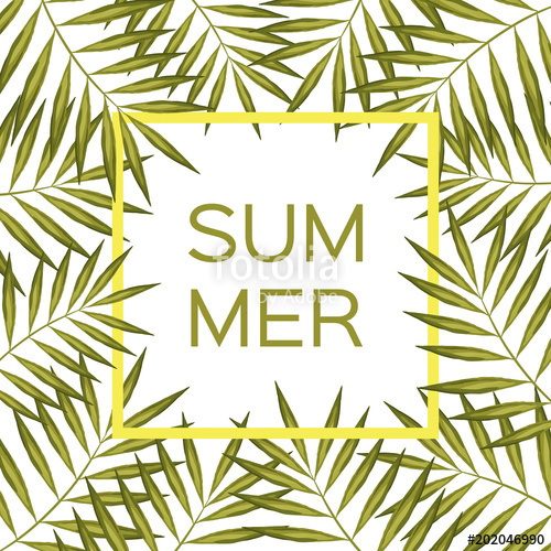500x500 Palm Branch Frame Summer Vector Background With Palm Tree Frame