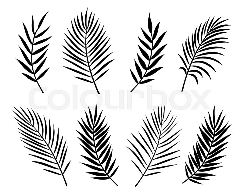 800x643 Black Hand Drawn Set Of Isolated Stock Vector Colourbox