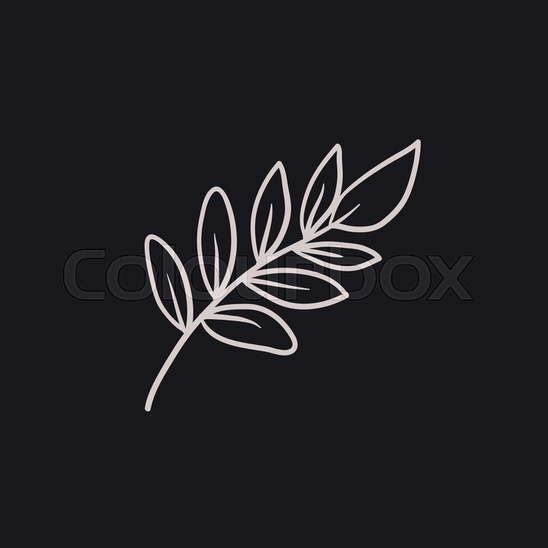 800x800 Palm Branch Vector Sketch Icon Stock Vector Colourbox