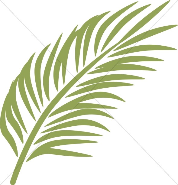 589x612 Single Palm In Calming Green Palm Sunday Clipart
