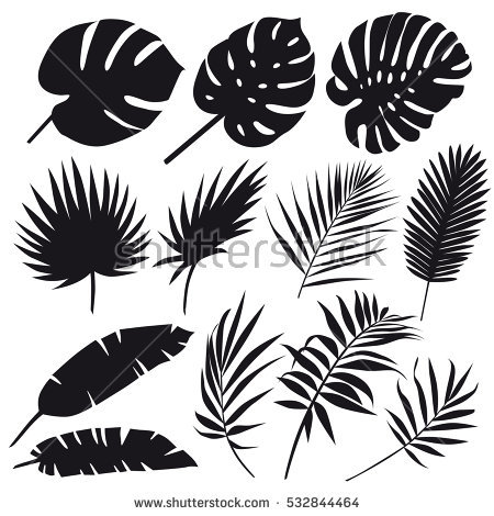 Palm Leaf Silhouette 450x470 Palm Leaf Silhouette
