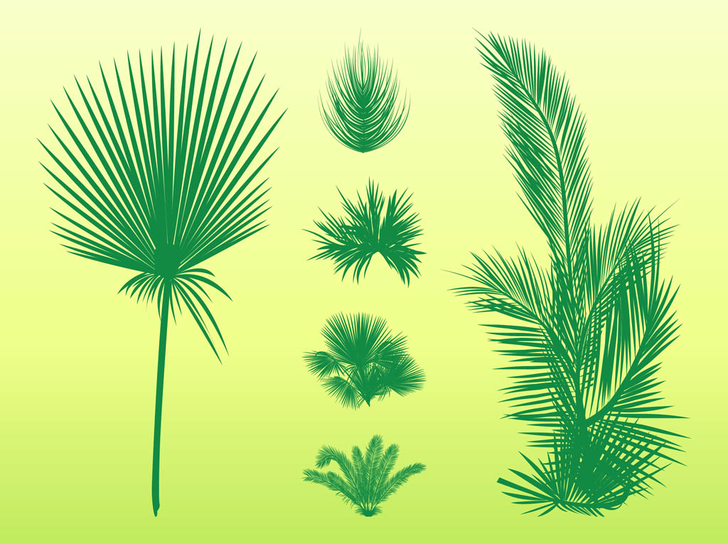 Palm Leaves Set Vector Art Graphics 1024x765 Palm Leaves Set Vector Art Graphics
