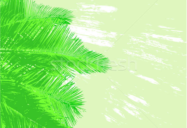 Palm Fronds Vector Illustration Robert Adrian Hillman 600x411 Palm Fronds Vector Illustration Robert Adrian Hillman