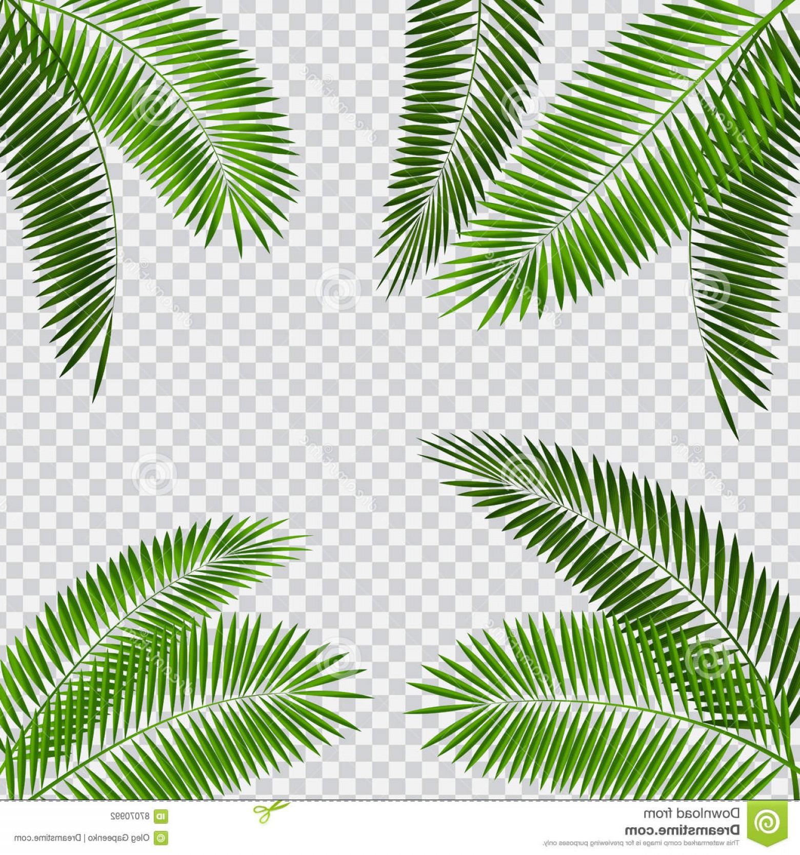 Stock Illustration Palm Leaf Vector Illustration Transparent 1560x1668 Stock Illustration Palm Leaf Vector Illustration Transparent