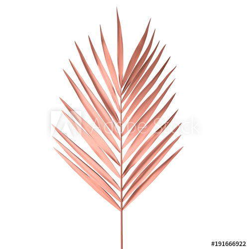 Tropical Palm Leaf Isolated On White Background Golden Pink Palm 500x500 Tropical Palm Leaf Isolated On White Background Golden Pink Palm