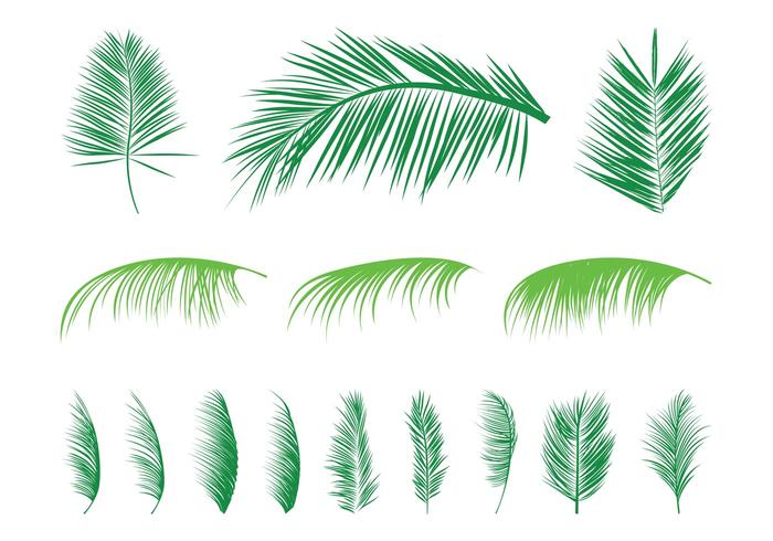 Vectors Of Leaves Free Vector Graphics Everypixel 700x490 Vectors Of Leaves Free Vector Graphics Everypixel