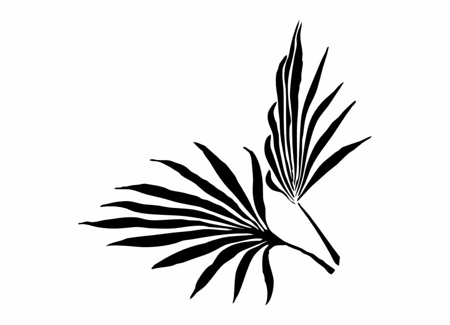 Botanical Vector Palm Leaf 920x664 Botanical Vector Palm Leaf