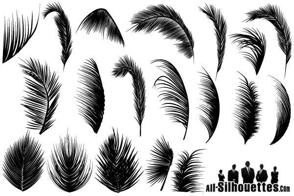 Free Palm Leaves Vector Free Files, Vectors Graphics 600x400 Free Palm Leaves Vector Free Files, Vectors Graphics