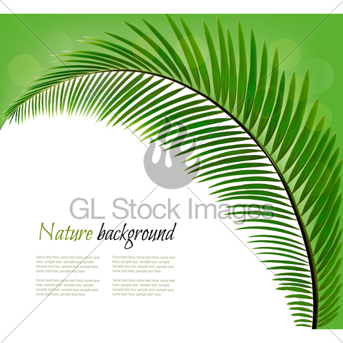 Nature Background With A Palm Leaf Vector Gl Stock Images 500x500 Nature Background With A Palm Leaf Vector Gl Stock Images