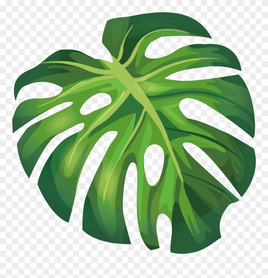 Template Palm Tree Leaf Drawing prntbl concejomunicipaldechinu gov co