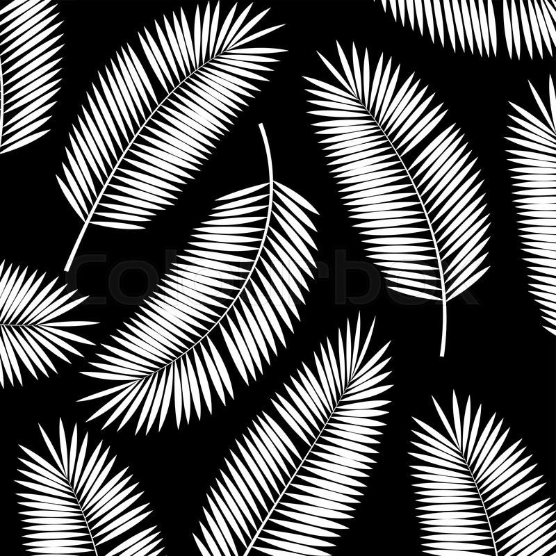 800x800 Palm Leaf Vector Background Stock Vector Colourbox