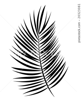 346x450 Palm Leaf Vector Background Illustration