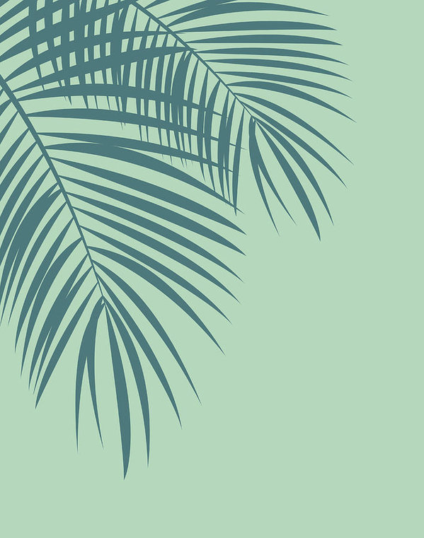 599x761 Palm Leaf Vector Background Illustration Art Print