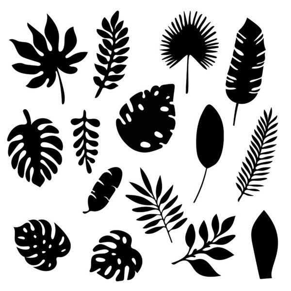 600x600 Palm Leaves Silhouettes Set Isolated On White Background Tropical