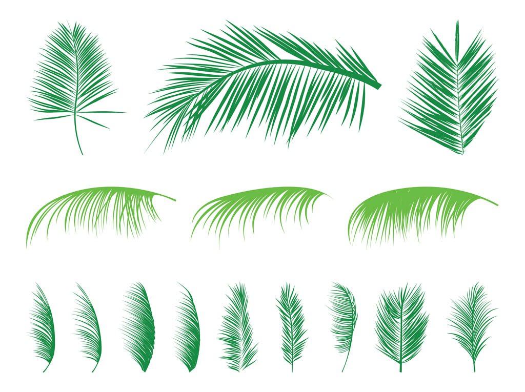 1024x765 Palm Leaves Silhouettes Set Vector Art Graphics