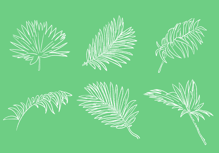 700x490 Scribble Palm Leaf Vector Set