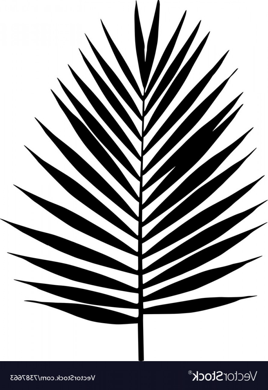 891x1296 Palm Leaf Silhouette Tropical Leaves Vector Soidergi