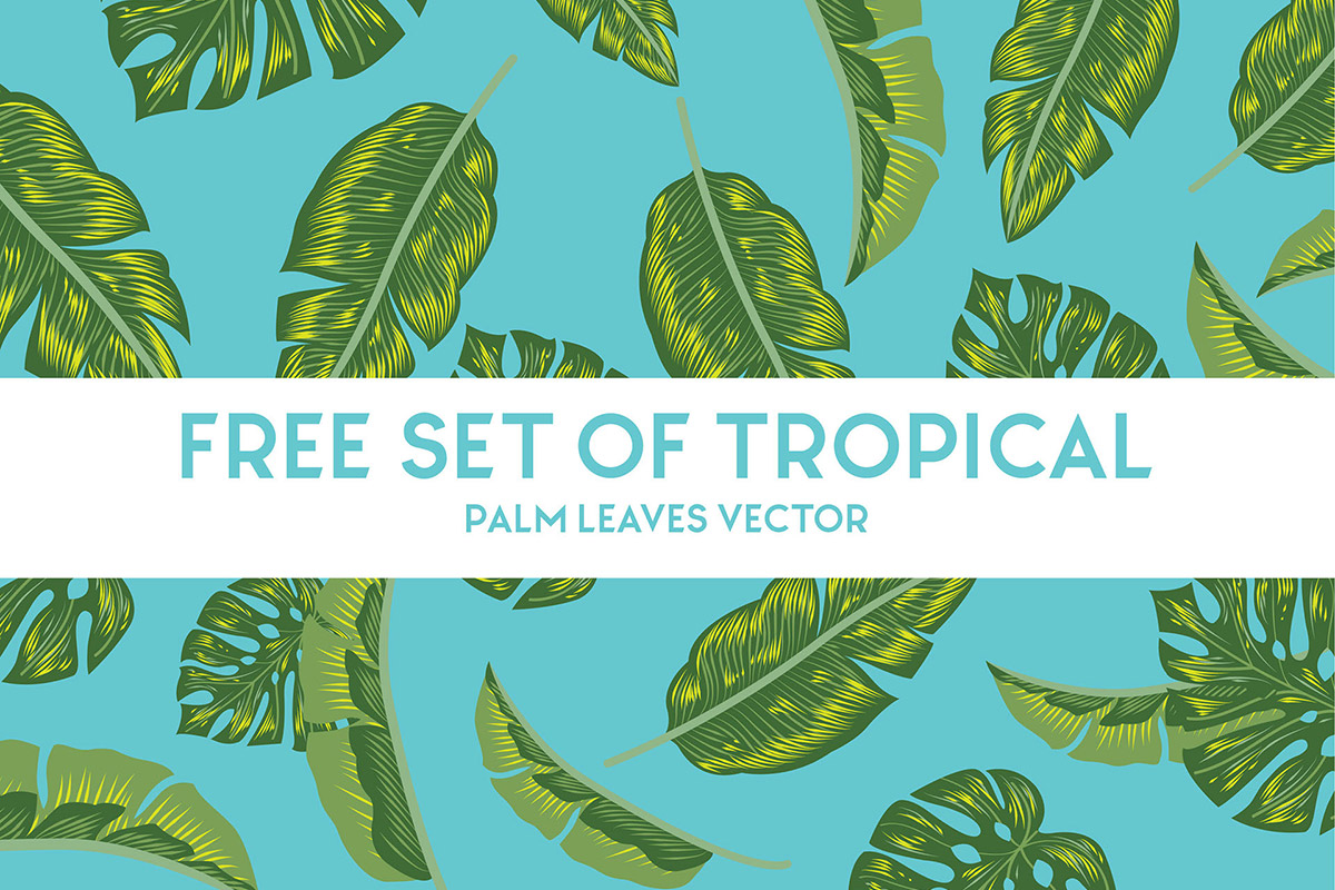 1200x800 Free Tropical Palm Leaves Vector Set
