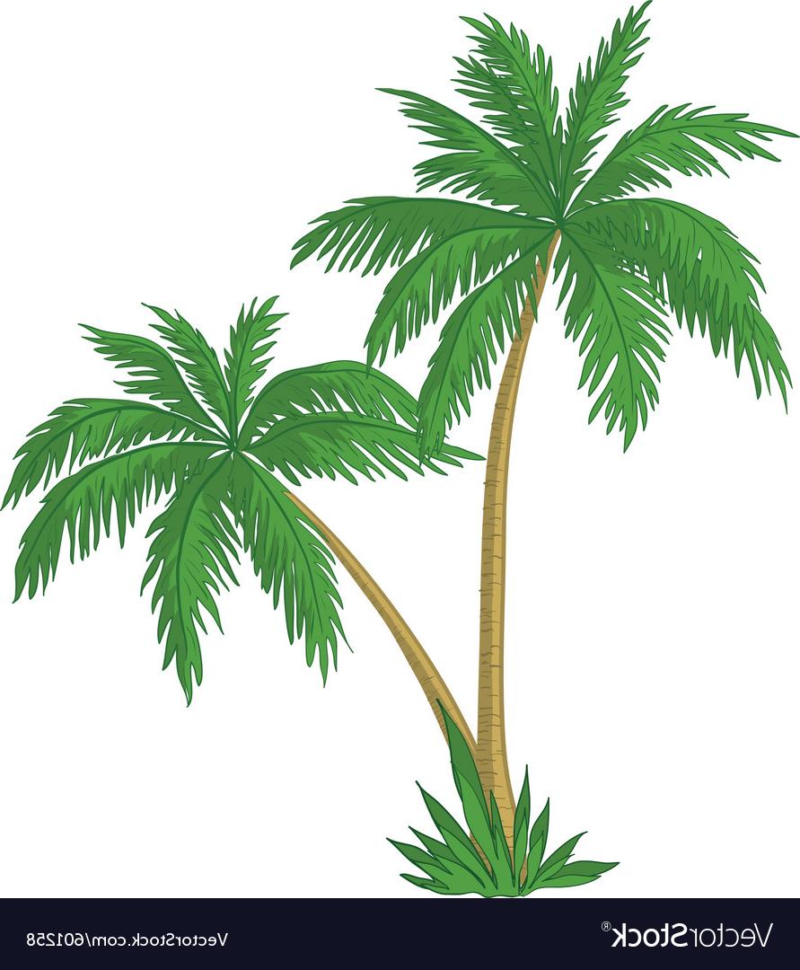 891x1080 Hd Palm Tree Vector Images Free Vector Art, Images, Graphics
