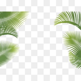 Palm Leaf Vector Free At Vectorified.com 