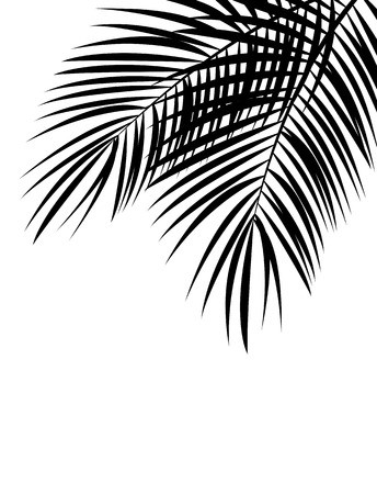 344x450 Palm Leaf Vector Background Isolated Illustration Royalty