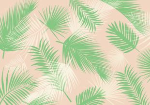 310x217 Palm Leaf Vectors Free Vectors Ui Download