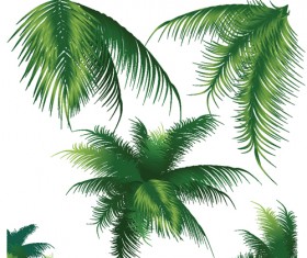 280x235 Palm Leaves Vector
