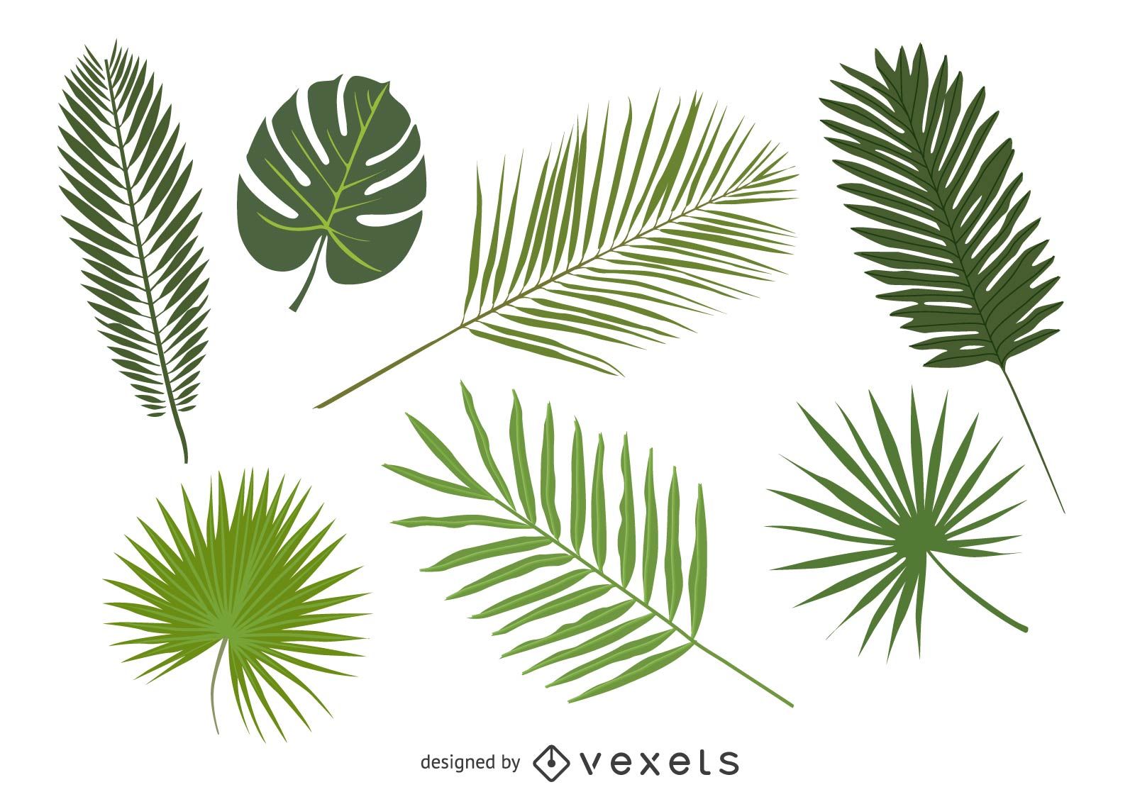 1600x1141 Palm Tree Vector Graphics To Download