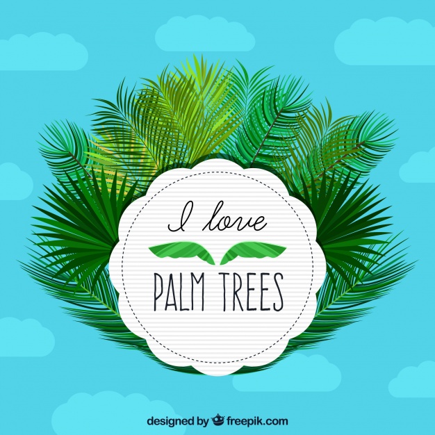 626x626 Clouds Background With Palm Leaves Vector Free Download