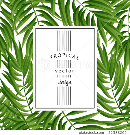 450x468 Tropical Palm Leaves Vector Seamless