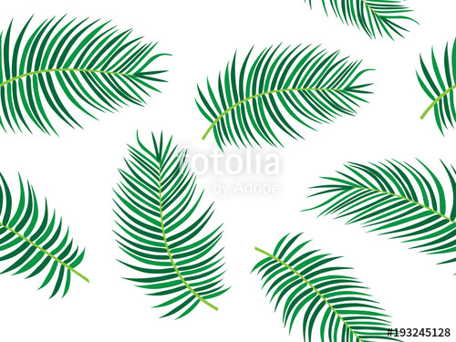 500x375 Palm Tree Leaf Vector Tropical Theme Seamless Pattern Stock Image