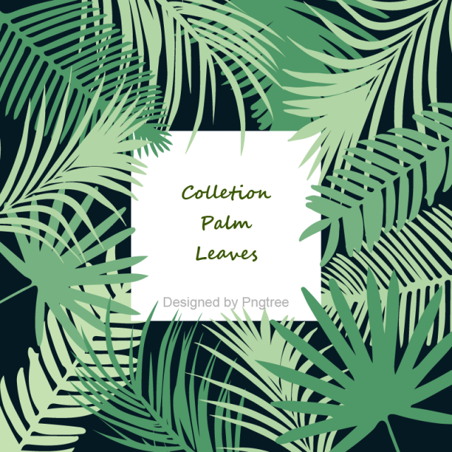 Palm Leaf Vector Png