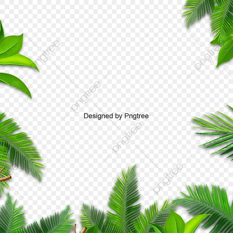 Leaves Palm, Green Leaf, Leaves Vector, Background Png And Vector 800x800 Leaves Palm, Green Leaf, Leaves Vector, Background Png And Vector